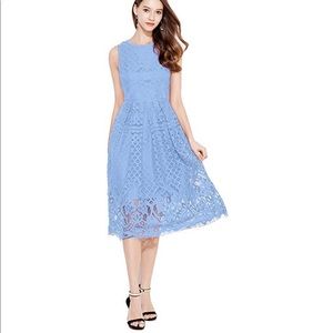 Beautiful blue lace ‘fit and flare’ midi dress